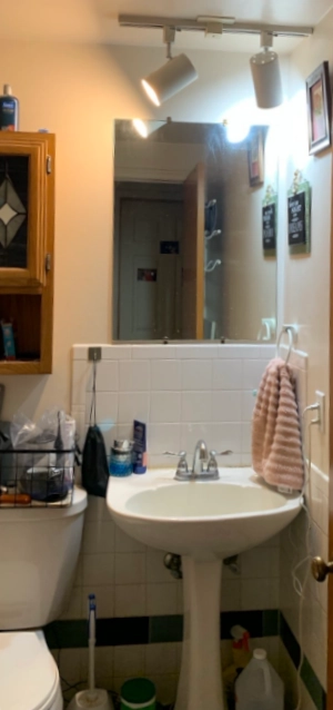 Old pedestal sink and track lighting in East Grand Rapids bathroom before renovation.