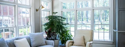 Custom white replacement windows from Home Depot in a Holt, Michigan living room, featuring a large window bank and natural light.